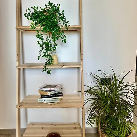 Soraya - New Bazaar * 地拉那